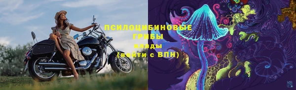 соль ск Алексеевка