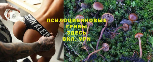 соль ск Алексеевка